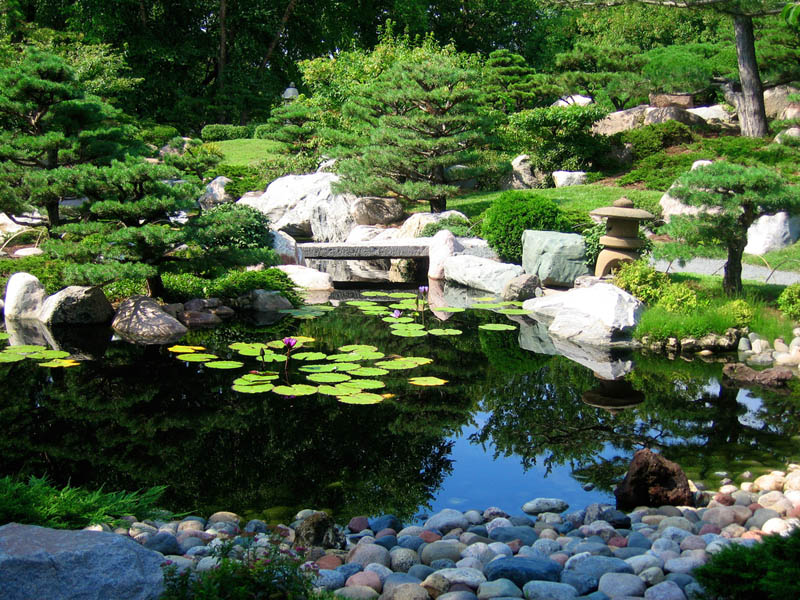 japanese-garden-at-como-park-conservatory